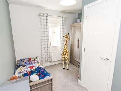 Picture 14